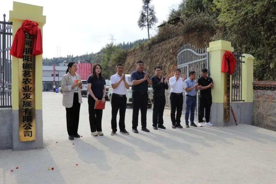 標(biāo)準(zhǔn)化引領(lǐng)新篇章 洛恩鄉(xiāng)茶葉加工廠正式投產(chǎn)助力茶產(chǎn)業(yè)升級(jí)